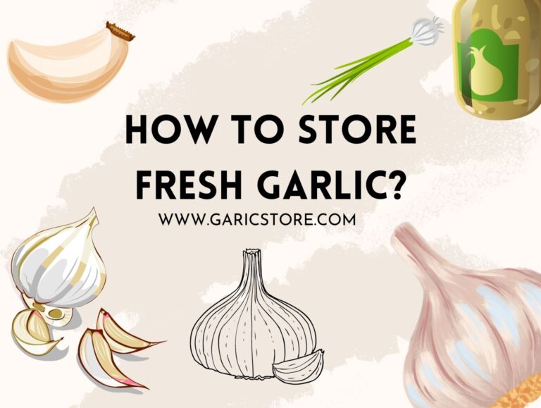 How to Store Fresh Garlic? [Detailed Explanation] Garlic Store