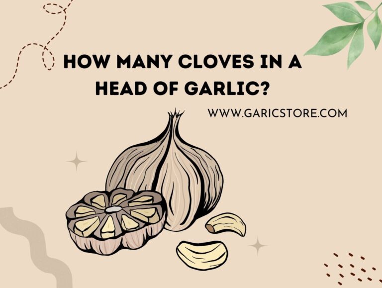 How Many Cloves In A Head of Garlic? [Explained Here] Garlic Store