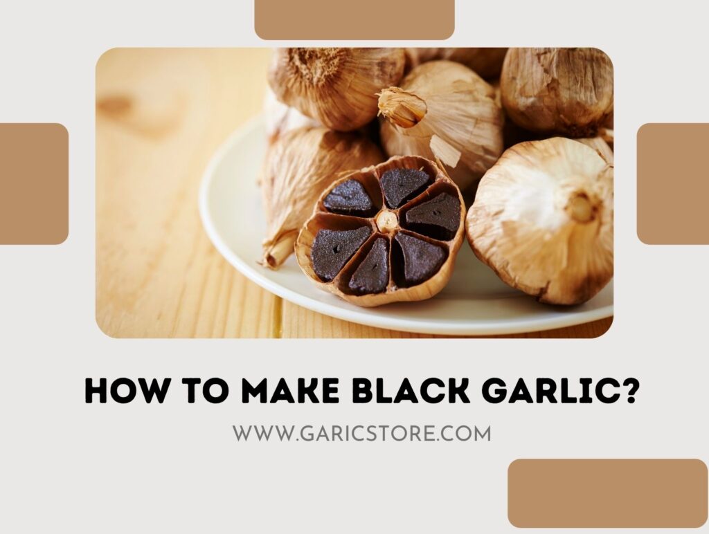 How To Make Black Garlic? ( What Are The Benefits?) Garlic Store