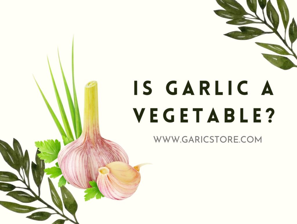 Is Garlic a Vegetable? [The Honest Truth] Garlic Store