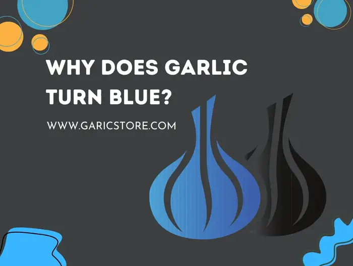 Why Does Garlic Turn Blue