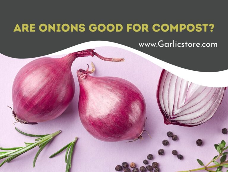 are onions good for compost