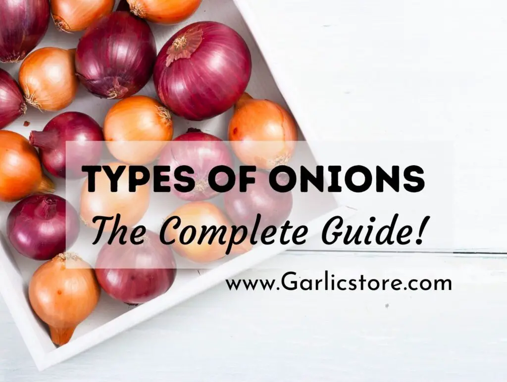 21 Types of Onions: The Complete Guide! - (Know Garlic More)