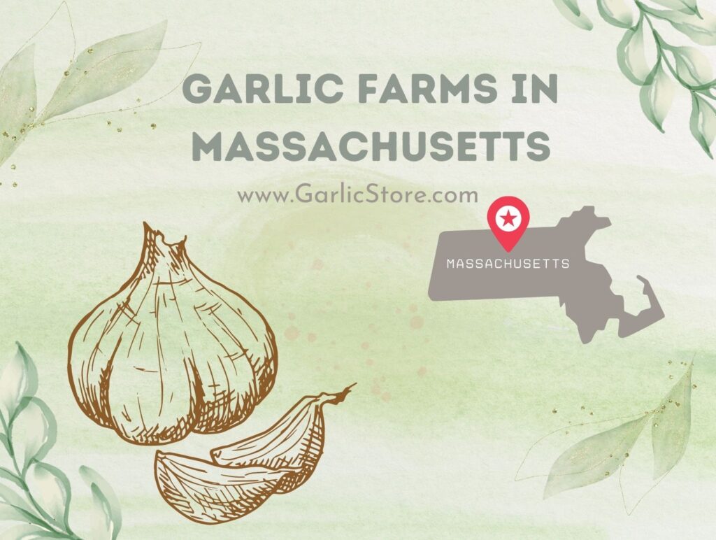 Garlic Farms Garlic Store