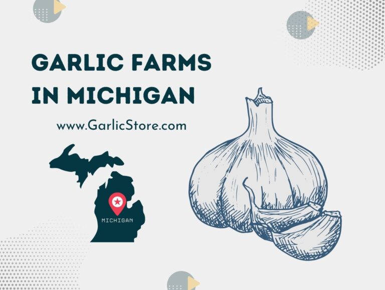 Garlic Farms Garlic Store