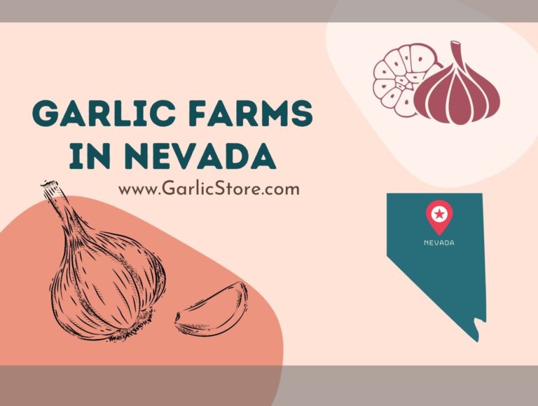 Garlic Farms Garlic Store