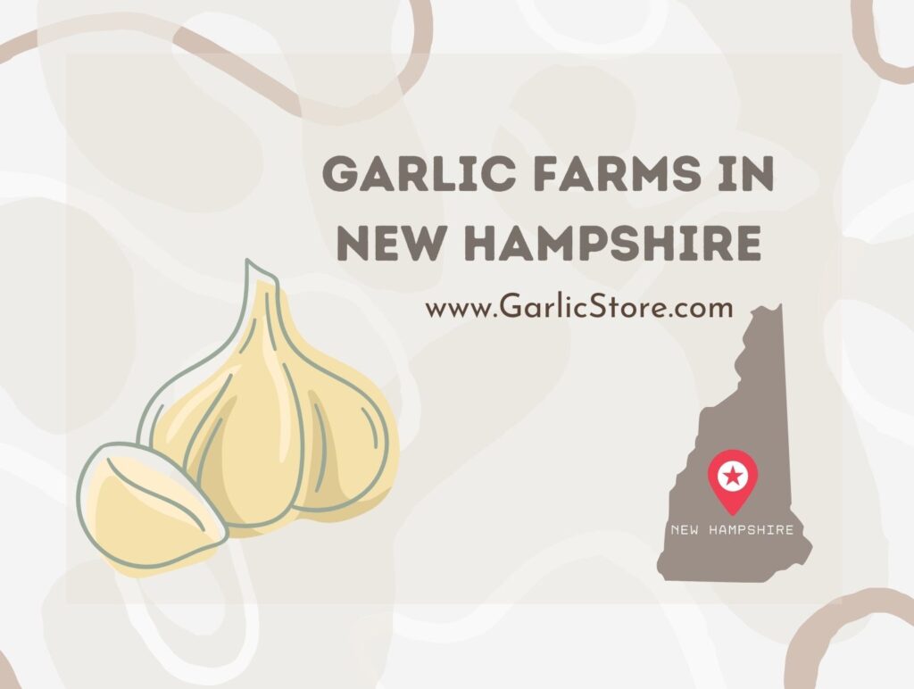 Garlic Farms Garlic Store
