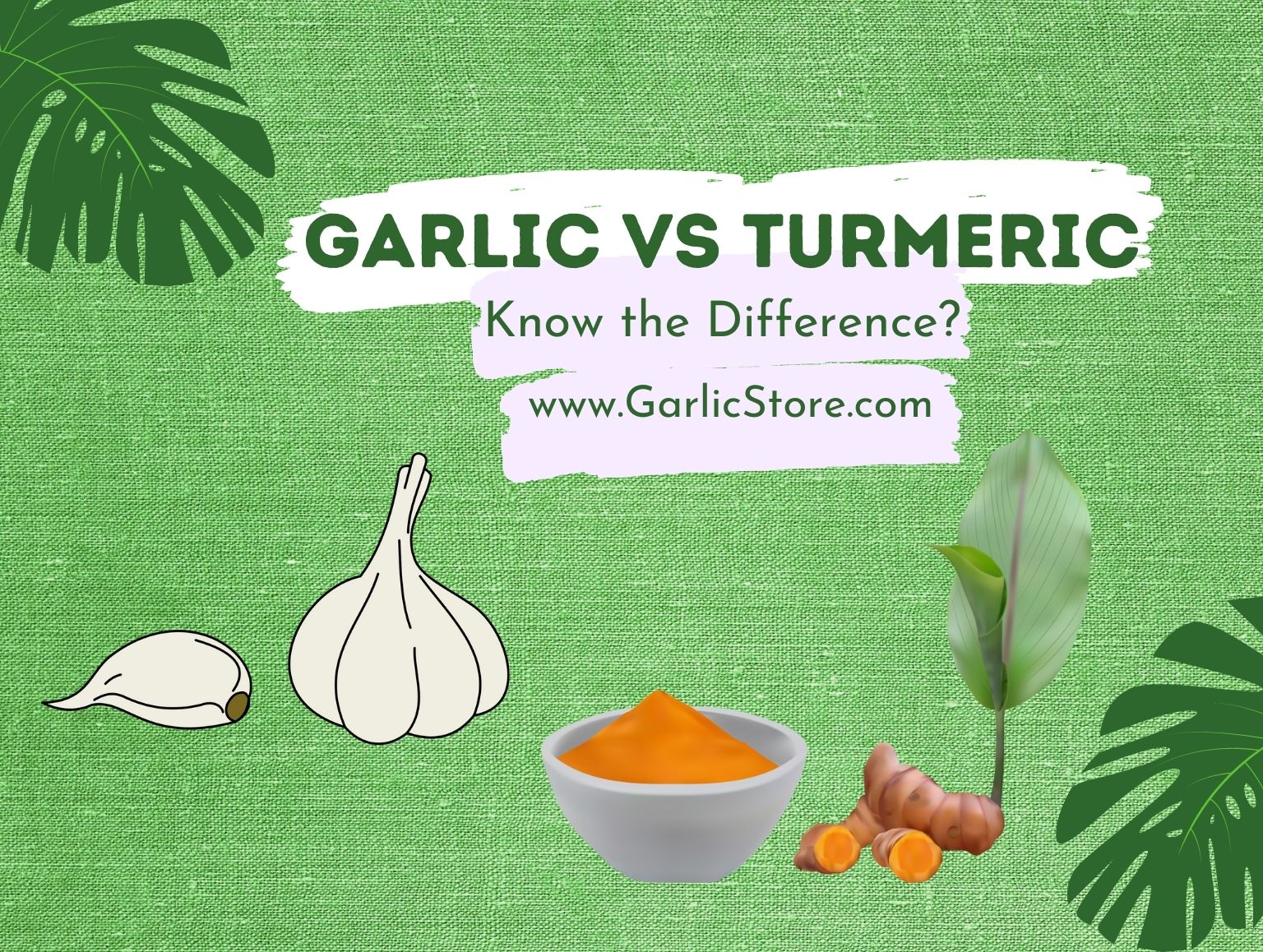 Garlic vs Turmeric