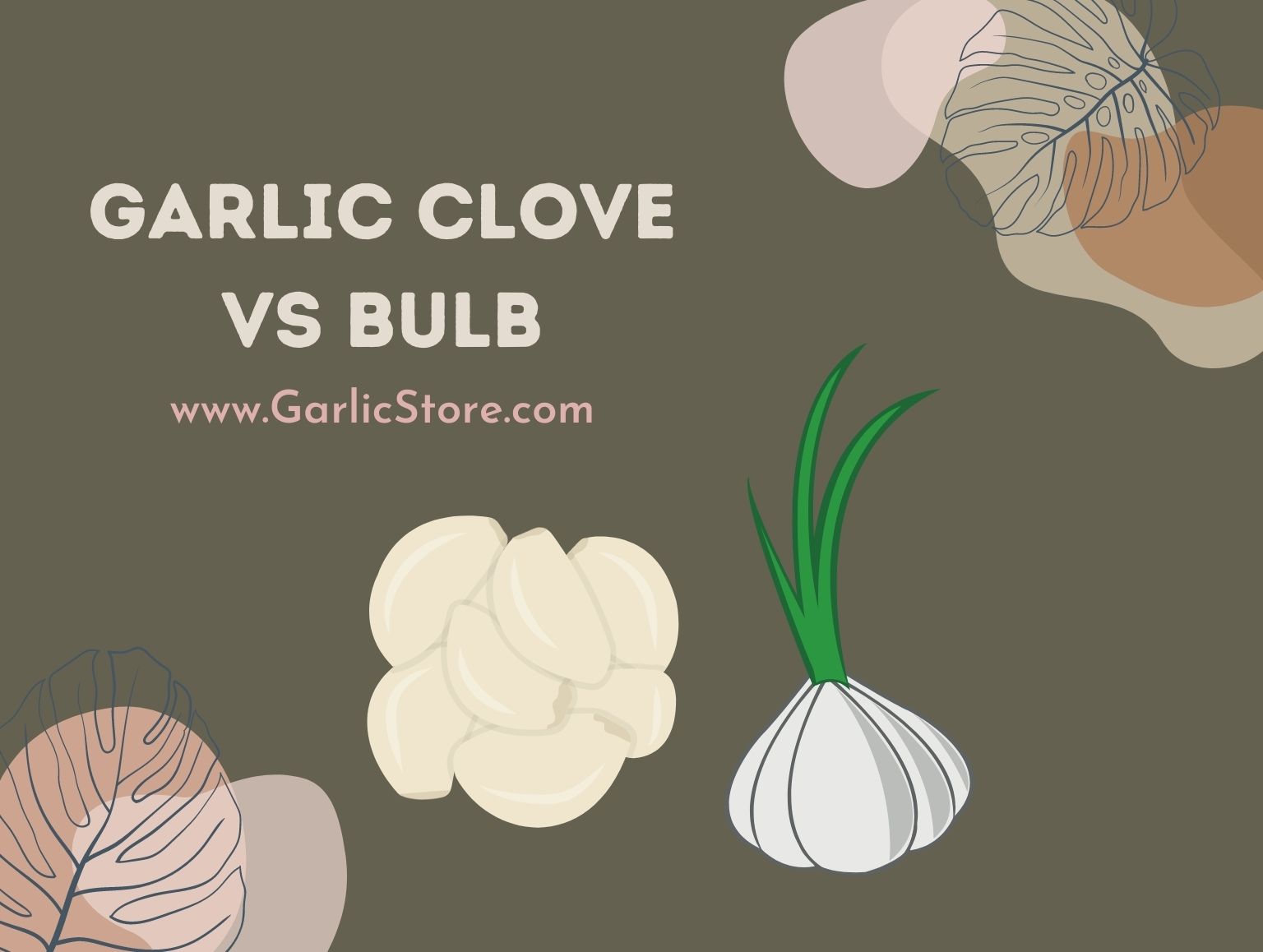 Garlic Clove vs. Bulb Garlic Store