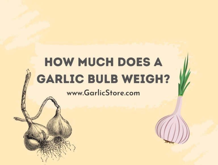 How Much Does a Garlic Bulb Weigh? Garlic Store