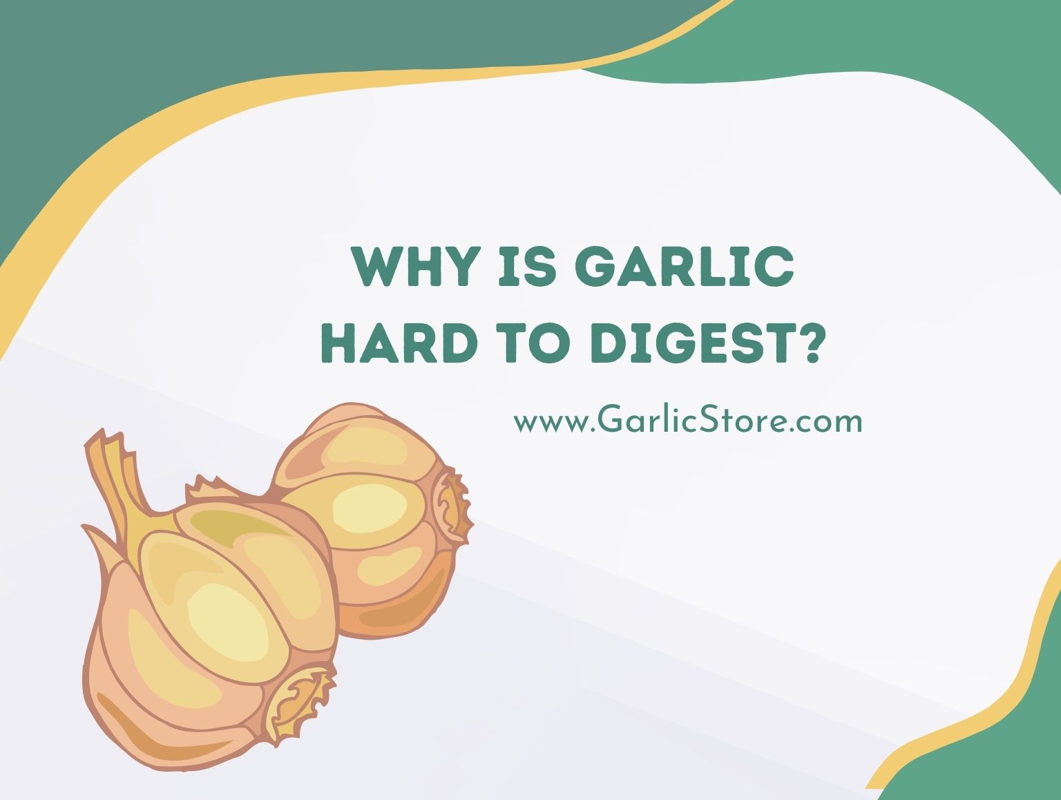 why is garlic hard to digest_
