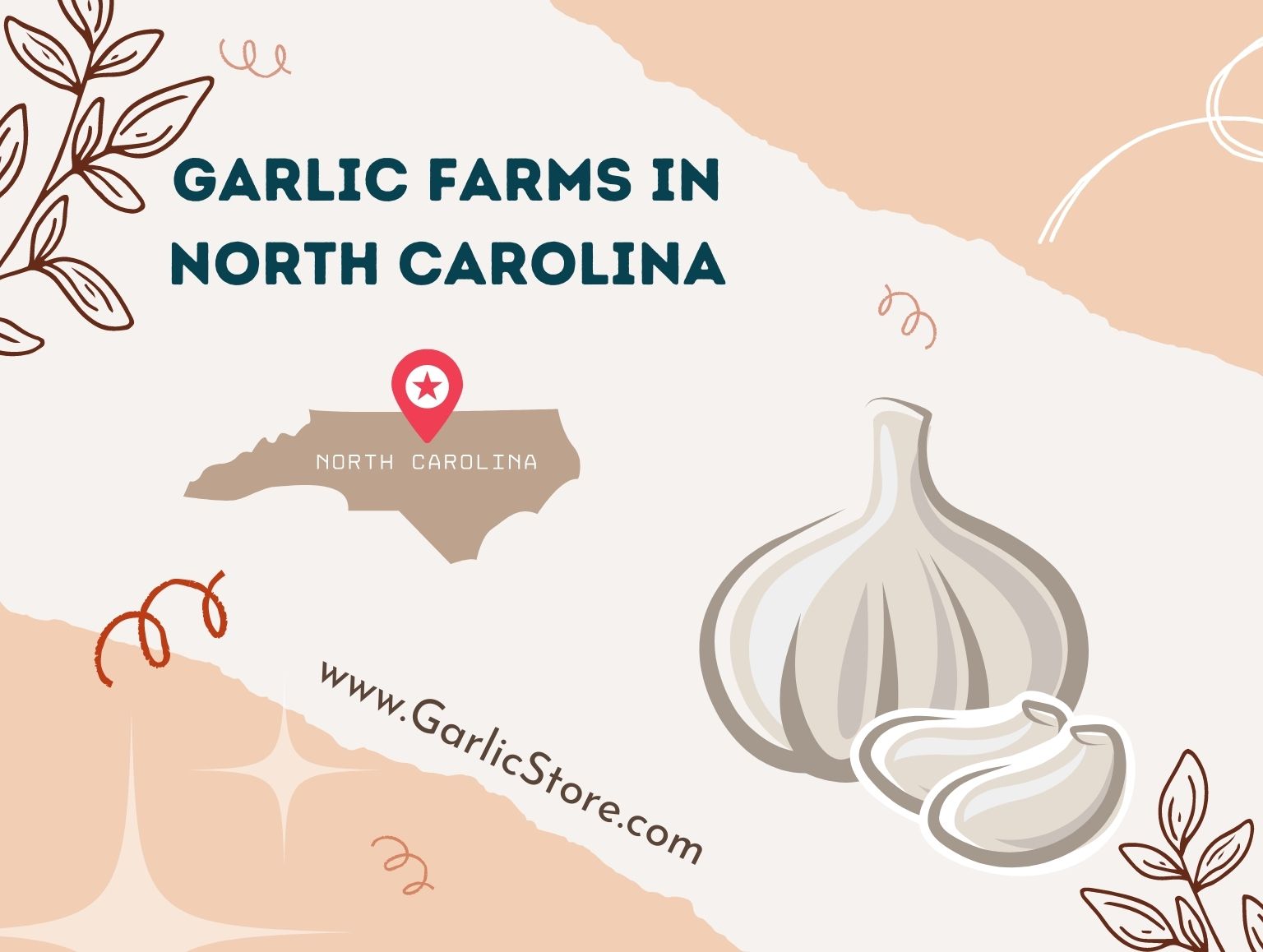 Garlic Farms in North Carolina