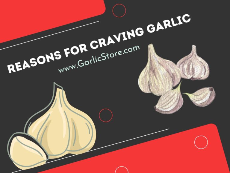 Reasons for Craving Garlic Garlic Store