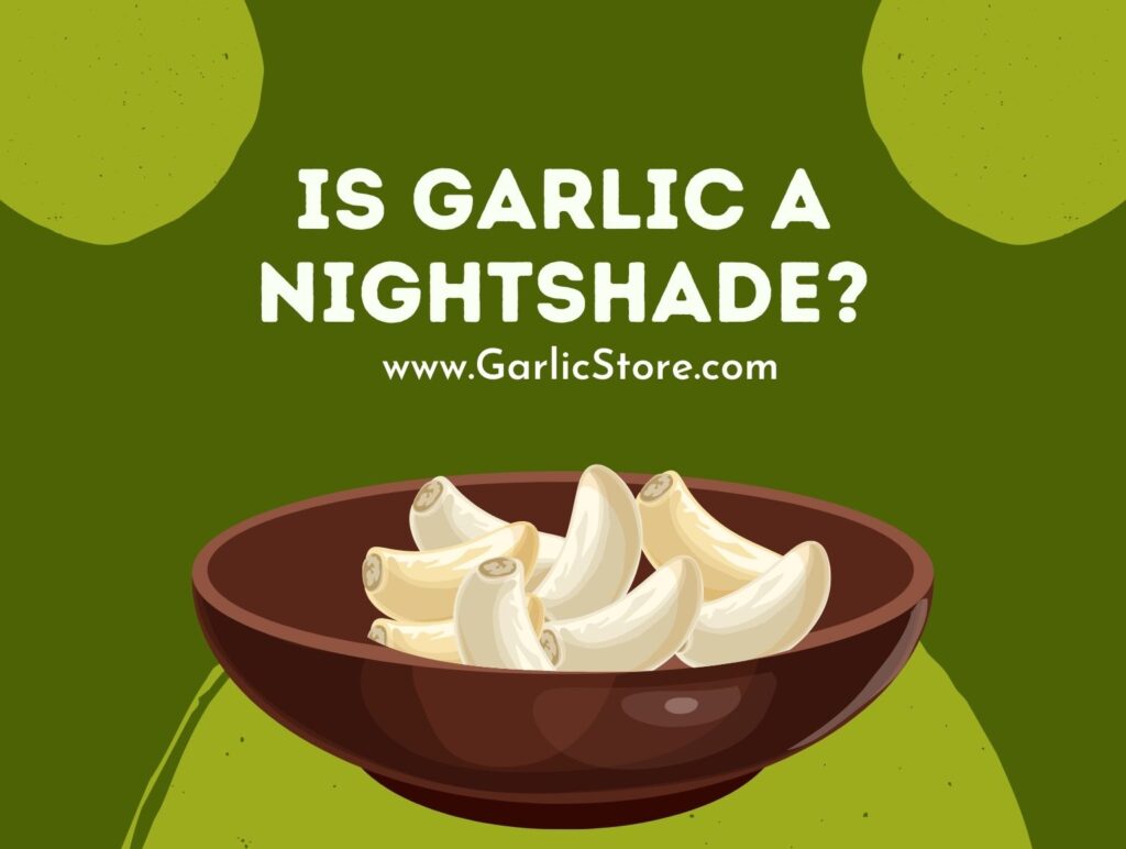 is-garlic-a-nightshade-vegetable-garlic-store