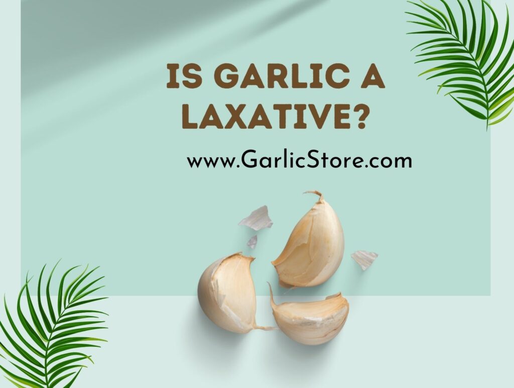 Is Garlic a Laxative? Garlic Store