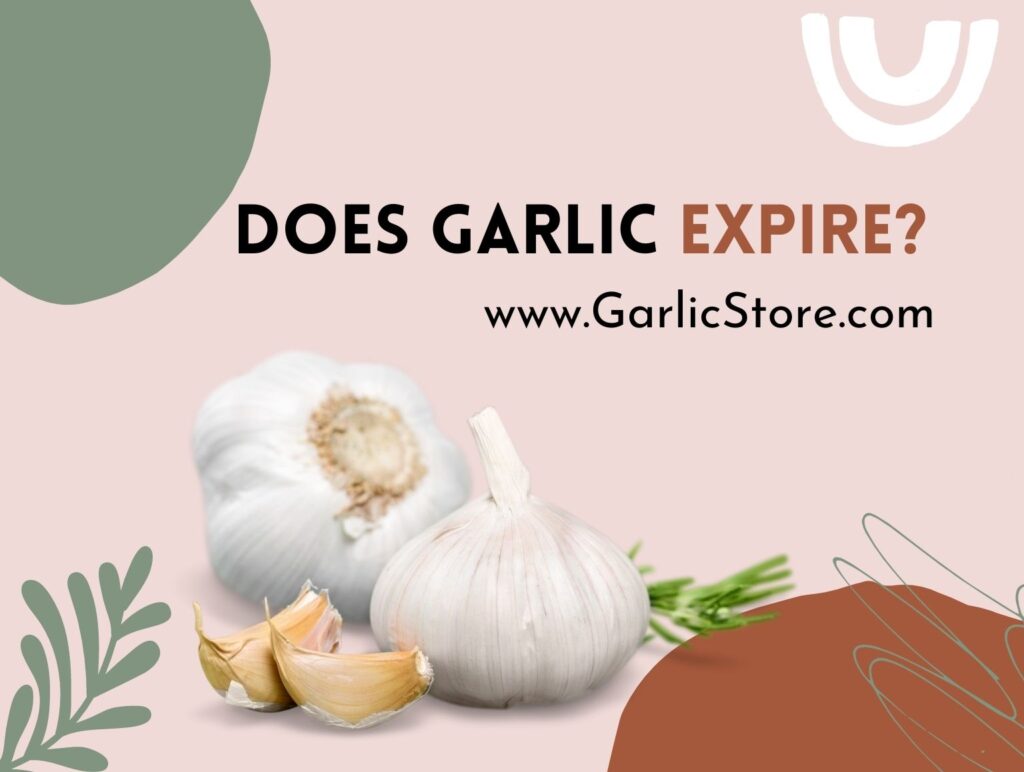 Does Garlic Expire? Garlic Store
