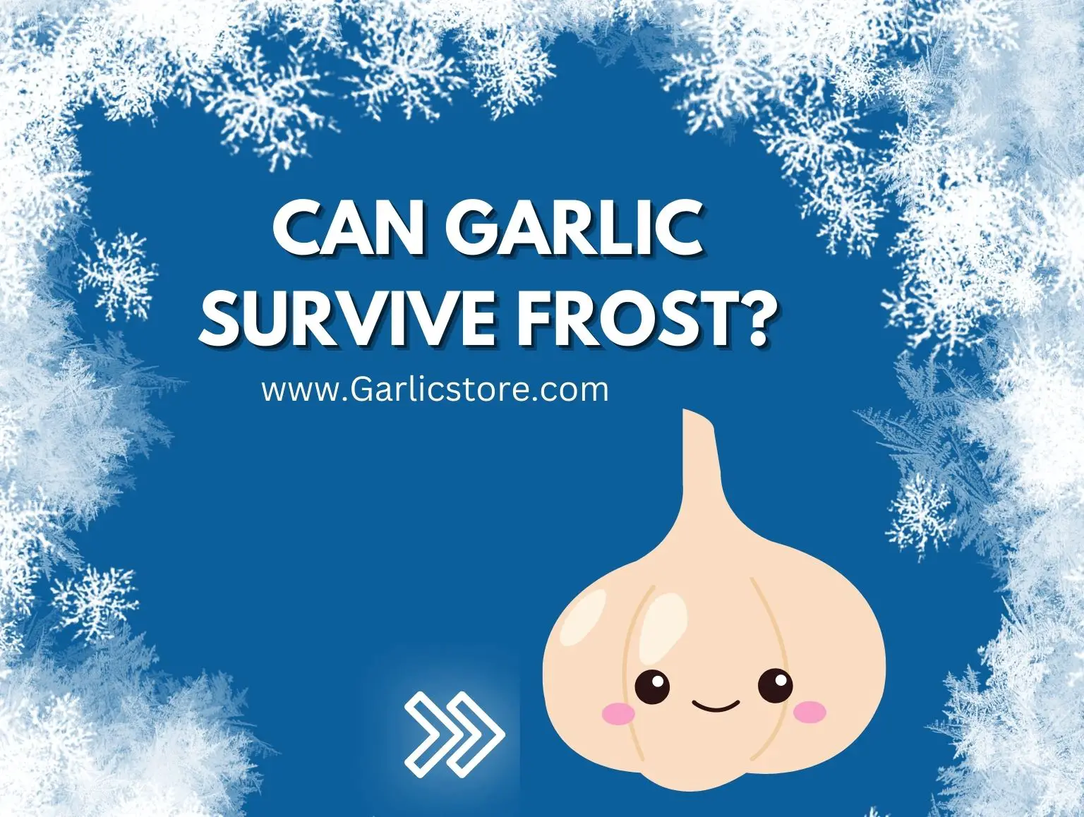 can garlic survive frost