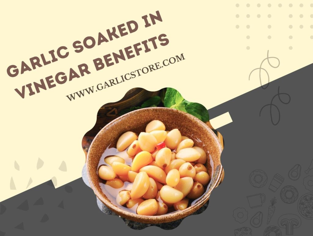 Garlic Soaked in Vinegar Benefits Health Benefits of Pickled Garlic
