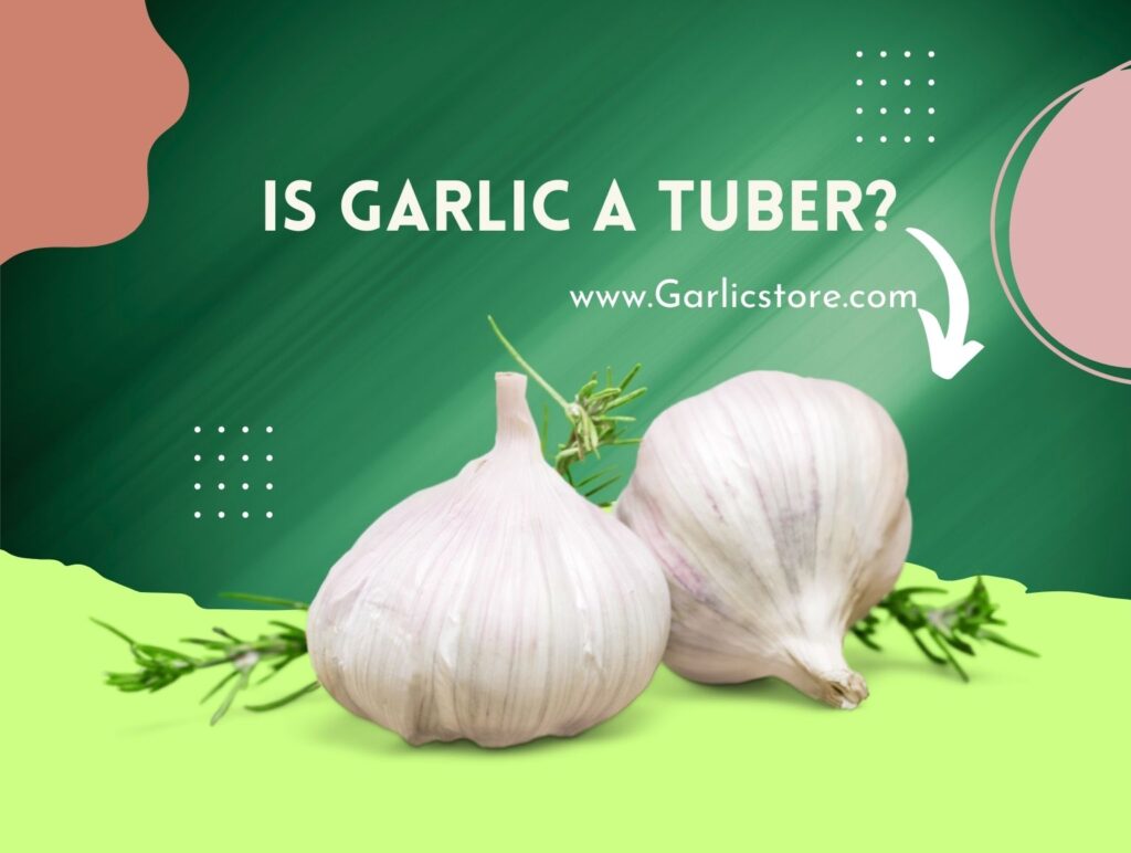 Is Garlic a Bulb or a Tuber? Garlic Store