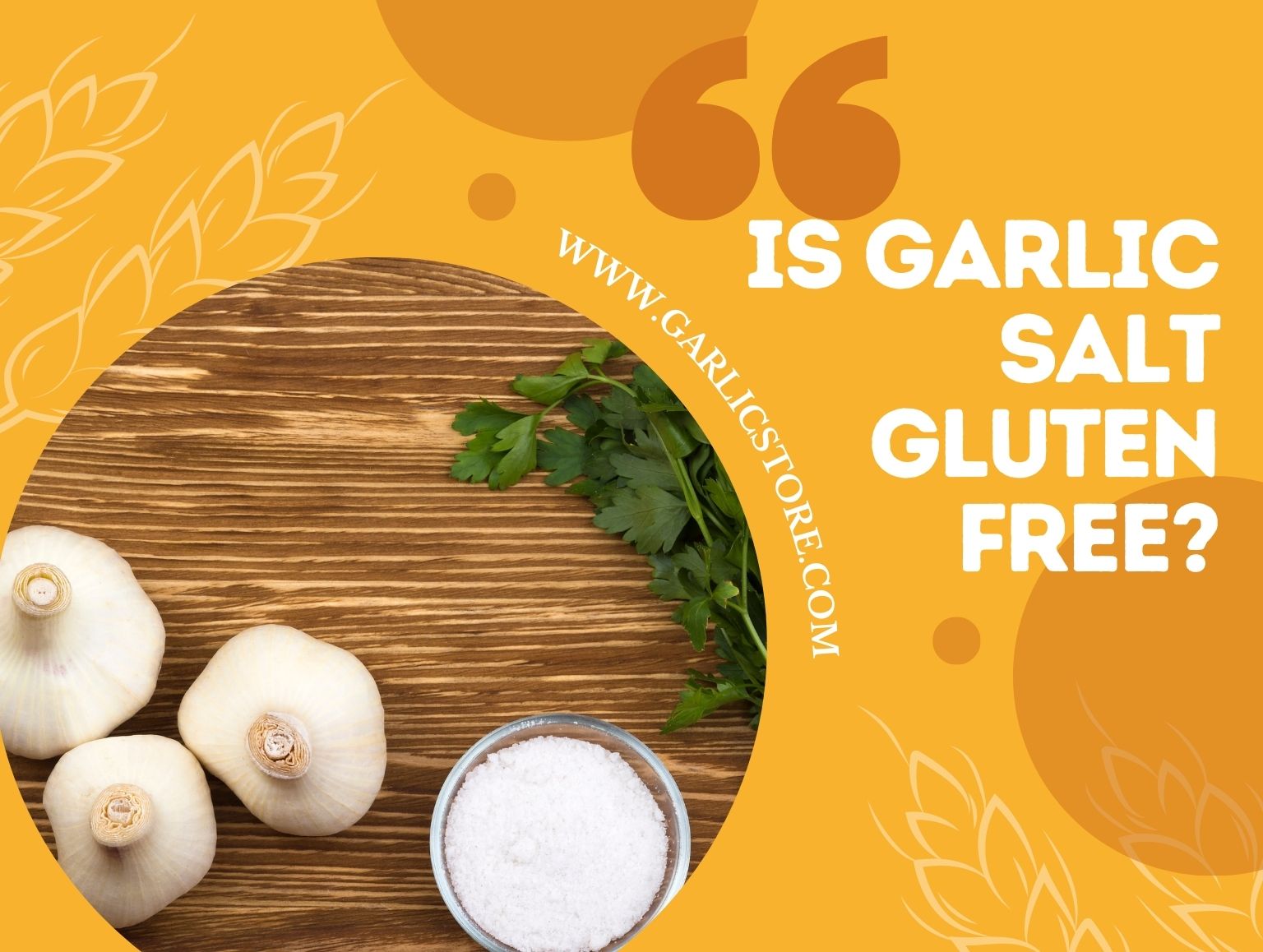 is garlic salt gluten free