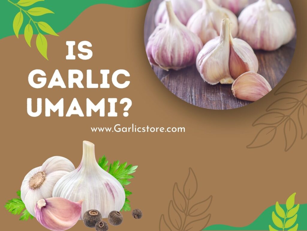 Is Garlic Umami? Garlic Store