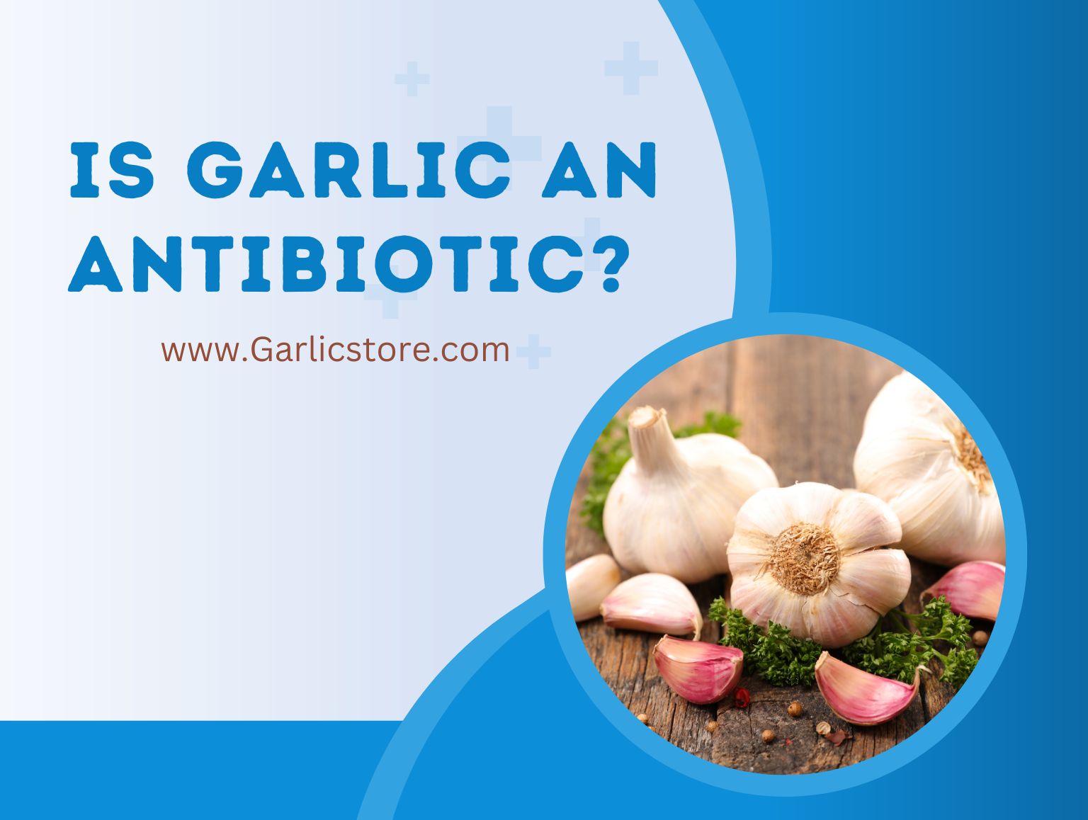 is garlic an antibiotic